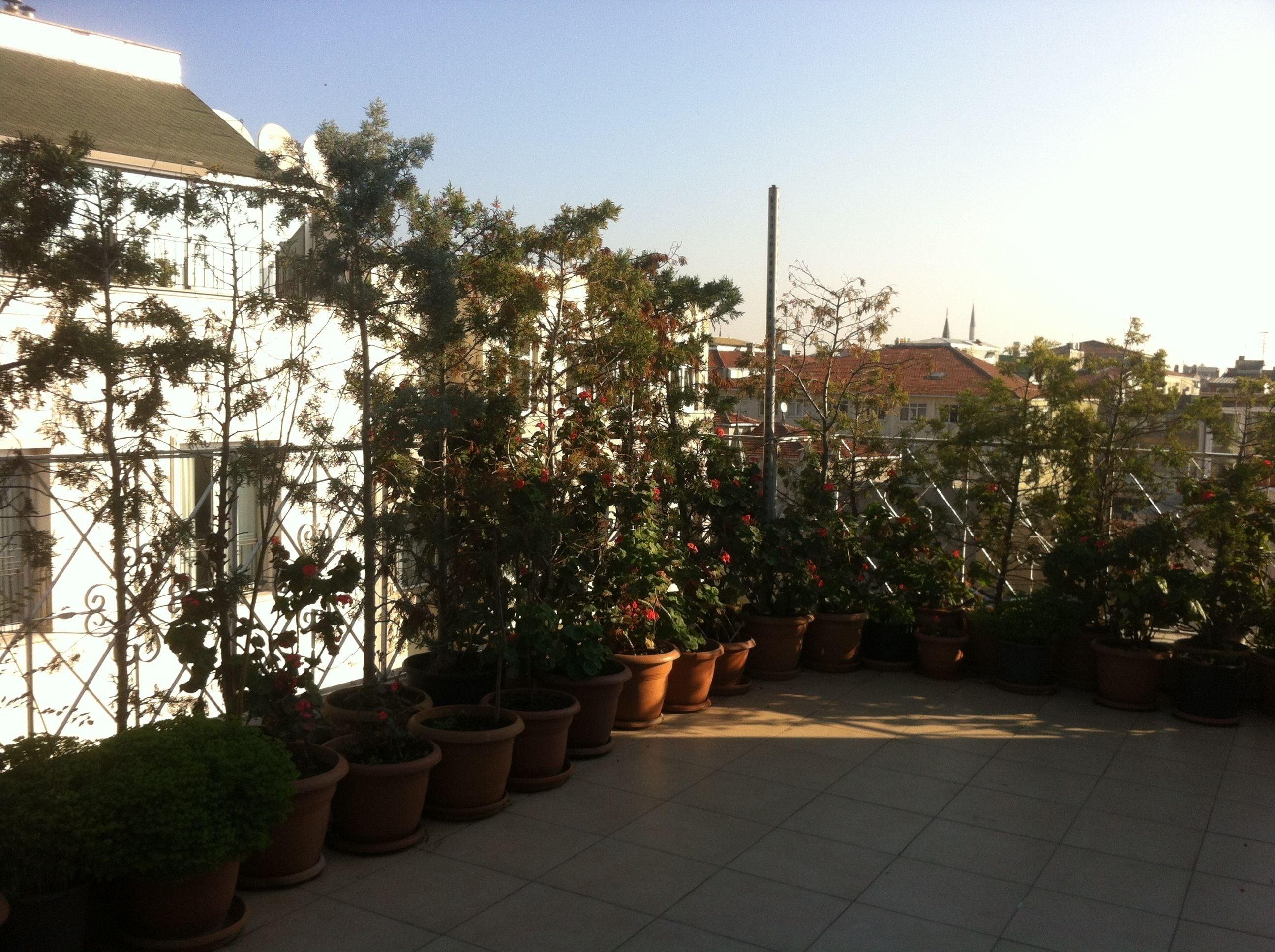Hotel Linda — Fotoğraflar 2
